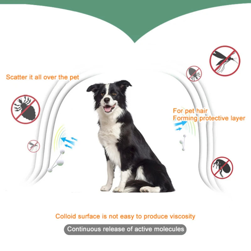 Dog And Cat Anti Flea And Ticks Collar