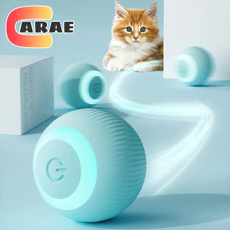 Cat Interactive Ball