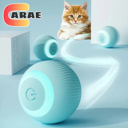 Cat Interactive Ball