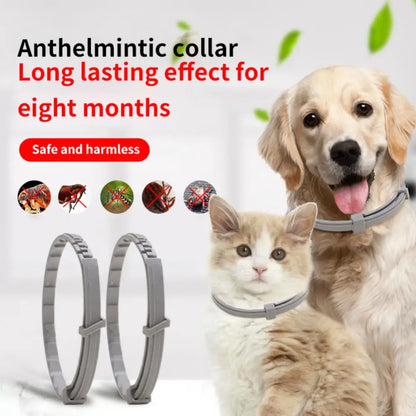 Dog And Cat Anti Flea And Ticks Collar