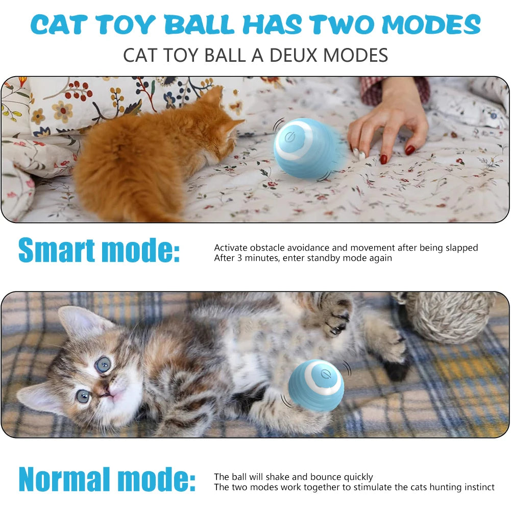 Cat Interactive Ball