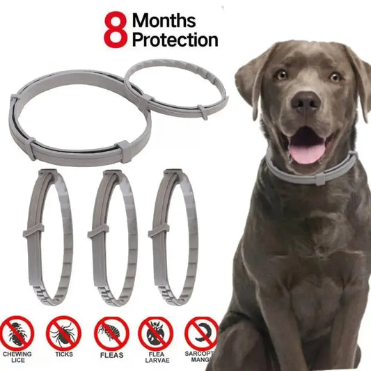 Dog And Cat Anti Flea And Ticks Collar