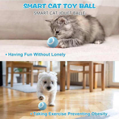 Cat Interactive Ball