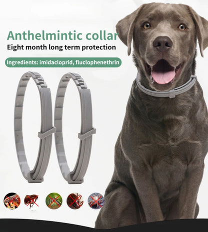 Dog And Cat Anti Flea And Ticks Collar