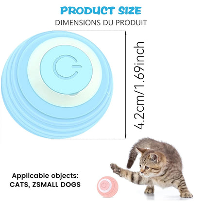 Cat Interactive Ball